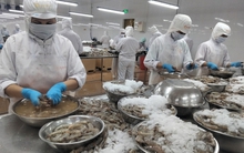 Tư duy cũ có thể khiến doanh nghiệp mất cơ hội từ UKVFTA