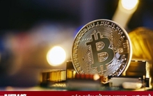 Giá Bitcoin hôm nay 13/11: Bất ngờ giảm giá