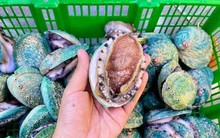 Món ăn chỉ dành cho nhà giàu, nay giảm giá mạnh nhiều người được ăn sang