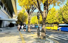 Khách Việt nhộn nhịp đi du lịch Hàn Quốc, Nhật Bản