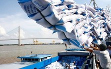 Giá gạo Việt Nam xuất khẩu cao nhất thế giới