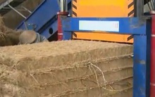 Thu tỷ USD từ phụ phẩm nông nghiệp