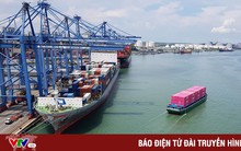 3 cảng biển Việt Nam lọt top 100 cảng lớn nhất thế giới