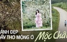 Cảnh sắc Mộc Châu những ngày chớm đông khiến hội mê sống ảo không thể bỏ lỡ