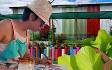 Khu vườn xanh tươi của bà mẹ trẻ người Việt trên đất Úc