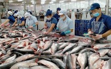 Một công ty cá tra bất ngờ xin hoãn thời gian trả cổ tức thêm gần nửa năm