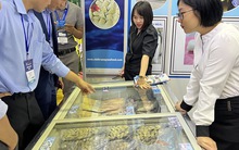 Xuất khẩu nghêu giảm dần, nhiều nhà máy đóng cửa