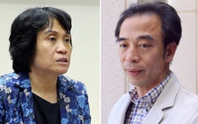 Hà Nội đang làm quy trình tước danh hiệu 'Công dân Thủ đô ưu tú' của hai cá nhân