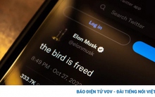 Twitter đối diện với nguy cơ ngừng hoạt động sau khi nhiều nhân viên nghỉ việc