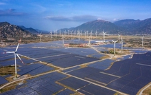 Phát triển năng lượng tái tạo thông qua đấu thầu: Kinh nghiệm quốc tế