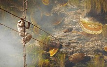 Nghề lấy 'vàng lỏng' ở Nepal: Thu nhập khủng nhưng phải đánh đổi bằng tính mạng, treo mình trên vách đá 50m để mang 'chiến lợi phẩm' xứng đáng trở về