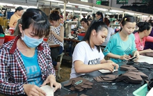 Đề xuất chỉ được rút 8% BHXH một lần: Tránh gây sốc cho người lao động