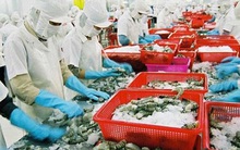 Xuất khẩu thủy sản tiến sát mốc 10 tỷ USD