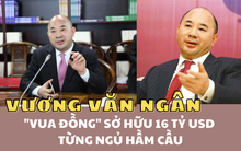 Cử nhân đại học chấp nhận ngủ gầm cầu để khởi nghiệp, "liều ăn nhiều" trở thành "vua đồ đồng" Trung Quốc: Sở hữu 20 mỏ khoáng sản, mỗi ngày kiếm 280 triệu USD nhưng quyết 'ẩn thân'