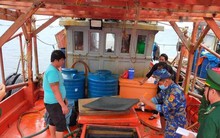 Tạm giữ tàu vận chuyển trên 62.000 lít dầu không rõ nguồn gốc