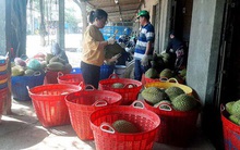 Giá trái cây miền Tây tăng gấp đôi