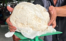 Ngư dân vớt được vật lạ nghi là long diên hương quý hiếm