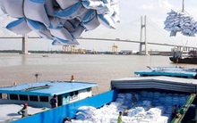 Việt Nam nhập gần 1 triệu tấn gạo mỗi năm
