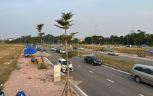 Chính phủ thành lập tổ công tác đặc biệt gỡ khó khăn cho bất động sản đã tác động mạnh đến tâm lý thị trường