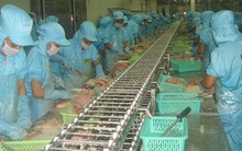 Xuất khẩu thủy sản lần đầu tiên cán mốc 10 tỷ USD vào cuối tháng 11 năm nay