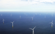 Giá điện gió thấp kỉ lục - Anh muốn chia sẻ kinh nghiệm với Việt Nam