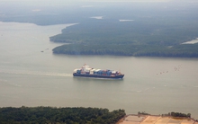 Giá cước vận tải biển giảm mạnh