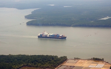 Giá cước vận tải biển giảm mạnh