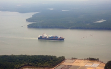 Giá cước vận tải biển giảm mạnh