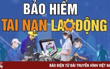 60.000 tỷ đồng kết dư ở Quỹ bảo hiểm tai nạn lao động và bệnh nghề nghiệp