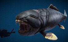 Phát hiện loài cá có thể cắn đứt đôi cơ thể của cá mập trắng lớn