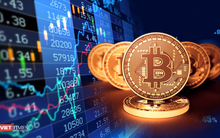 Cuộc khủng hoảng niềm tin trên thị trường tiền điện tử kéo dài tới khi nào?