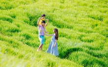 Chuyến du lịch của gia đình nhỏ đến Mộc Châu ấm áp và đẹp vô cùng tận