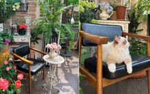 Khu vườn 100m2 ở vùng ngoại ô đẹp như trong phim