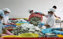 Xuất khẩu thủy sản có khả năng sẽ cán mốc 11 tỷ USD