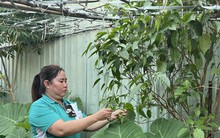 Công nhân chật vật mưu sinh cuối năm