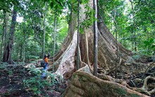 Lonely Planet giới thiệu 8 cung đường leo núi tuyệt vời nhất Việt Nam