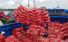 Châu Âu mua nhiều gạo thơm, gạo chất lượng cao từ Việt Nam