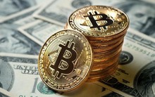Sau 1 năm, 80% triệu phú Bitcoin “bay màu”