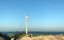 Hải Phòng: Xúc tiến thương mại và đầu tư với Đan Mạch trong lĩnh vực điện gió ngoài khơi