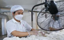 Đề xuất chỉ được rút 8% BHXH một lần: Vô lý