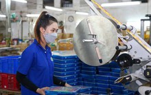 ĐỀ XUẤT CHỈ ĐƯỢC RÚT 8% BHXH 1 LẦN: Không tạo cú sốc chính sách