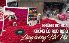 Giới trẻ Hà Nội rủ nhau đến chụp ảnh ở làng hương 100 năm tuổi, đẹp không kém gì xứ Huế