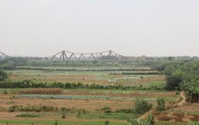 Bãi giữa sông Hồng sẽ 'lột xác'?