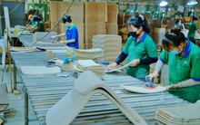 Giải 'cơn khát' gỗ hợp pháp cho các làng nghề