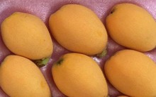 Hoa quả nhà giàu giá cao ngất ngưởng vẫn 'cháy' hàng