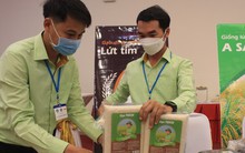 Lùm xùm nghi vấn 'đánh tráo' gạo ngon nhất: Chủ tịch Hiệp hội lương thực lên tiếng