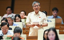 ĐB Nguyễn Anh Trí: 'Tham nhũng vặt như vòi bạch tuộc, làm chùn bước nhà đầu tư'