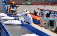 Gạo Việt xác lập vị thế mới