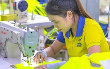 Đề xuất chỉ được rút 8% BHXH một lần: Nhà không có gạo nấu mà phải bỏ ống heo