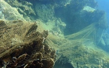 Tạm dừng hoạt động du lịch lặn biển tại một số khu vực trong vịnh Nha Trang